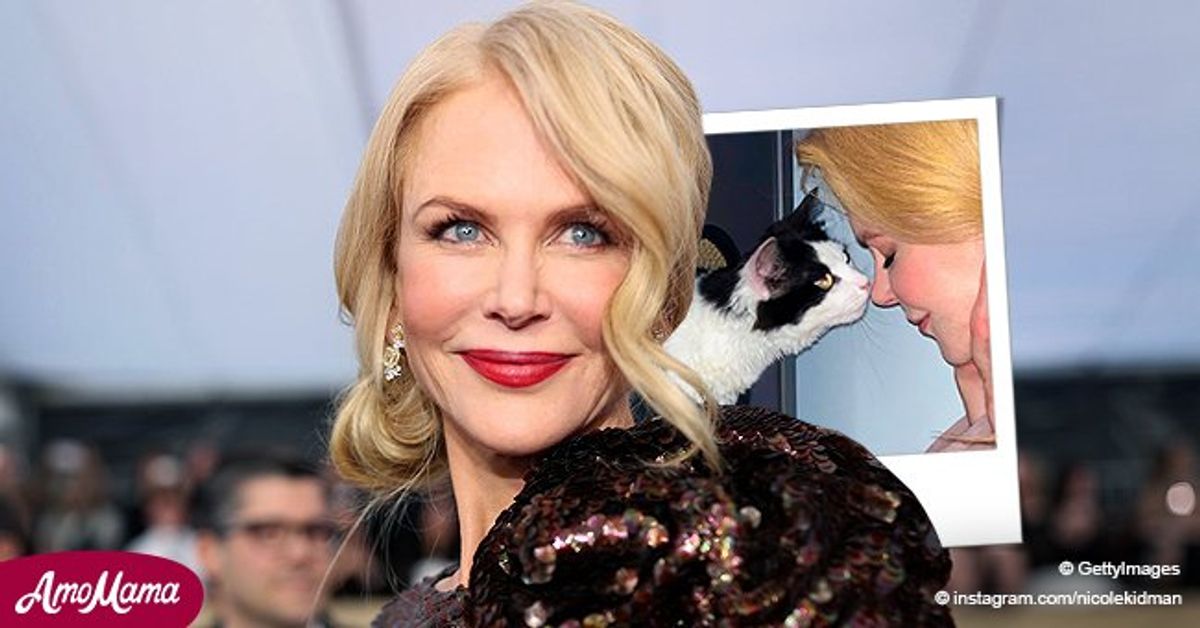 Nicole Kidman a New Member to Her Fur Family — Meet Rescue Cat
