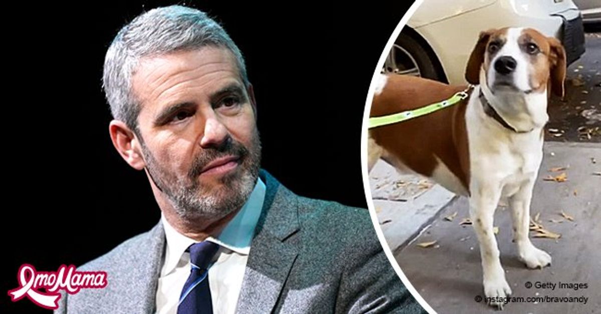 Andy Cohen Reunites with His Beloved Dog Wacha & Gives an Update Months