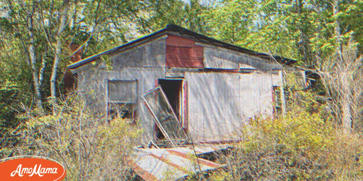 Retired Doctor Settles on Late Grandma’s Farm and Finds a Trap Door in ...