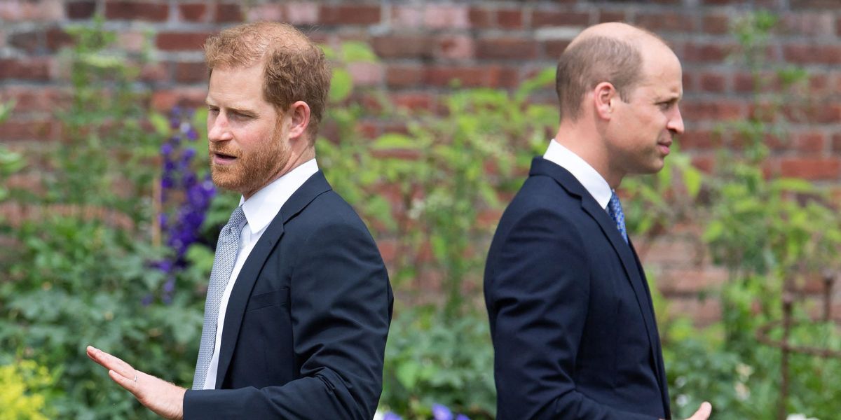 King Charles Reportedly Has a Plan to Heal the Rift Between Prince William and Prince Harry