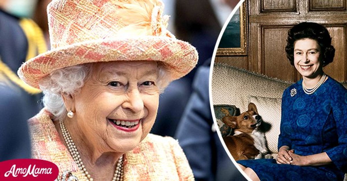 The Sun Queen Elizabeth Gifted a New Pup after Death of 5Month