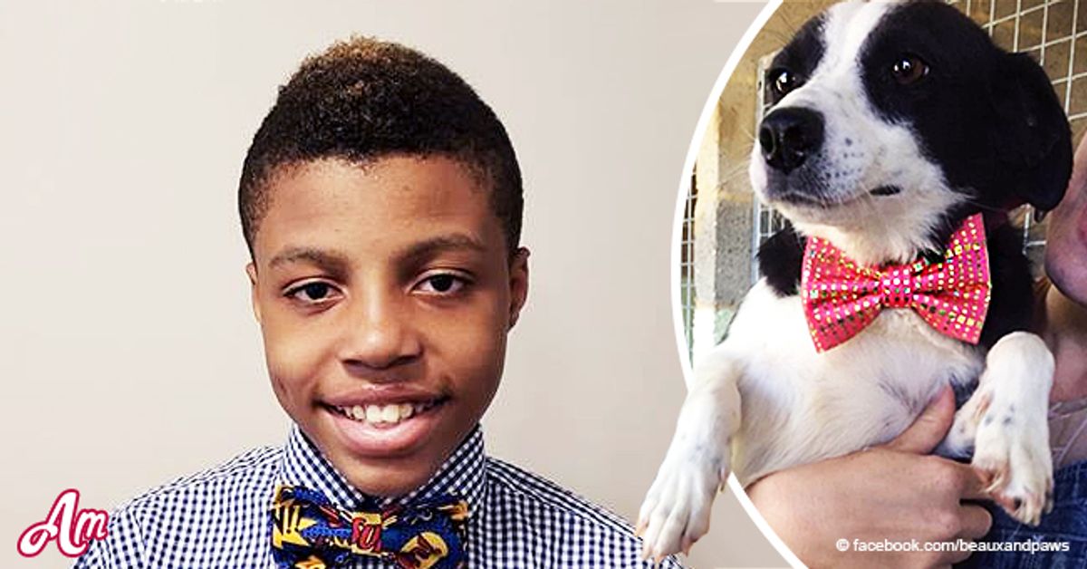 Darius Brown, 12, Makes Bow Ties for Shelter Pets to Help Them Get Adopted