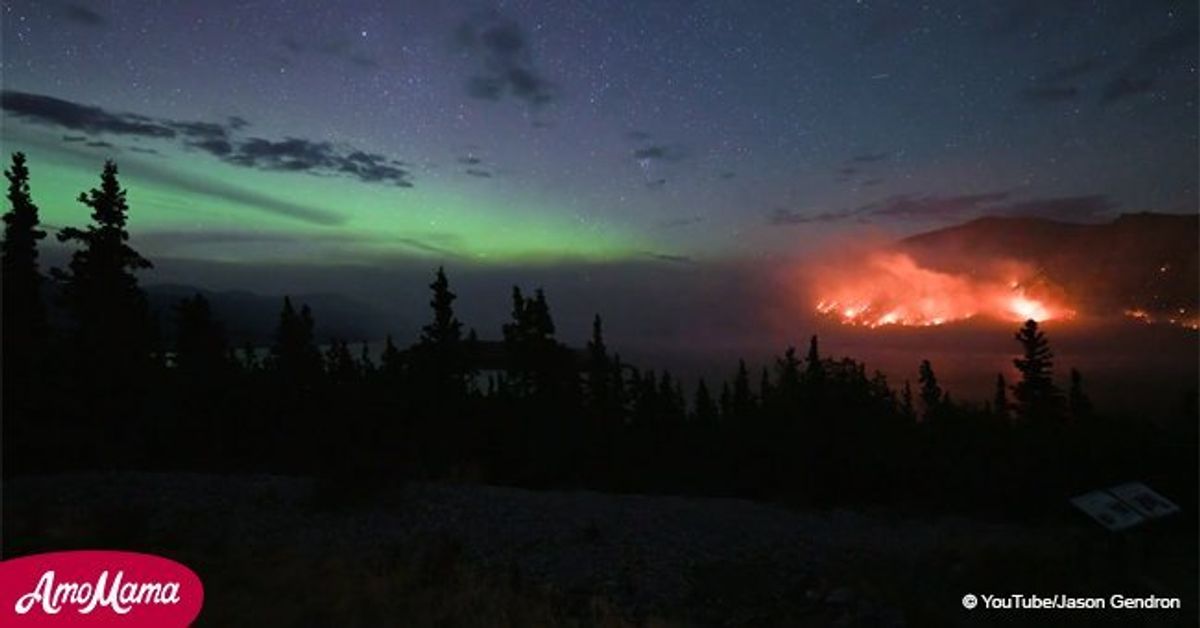 Incredible footage captured of the northern lights dancing over forest ...