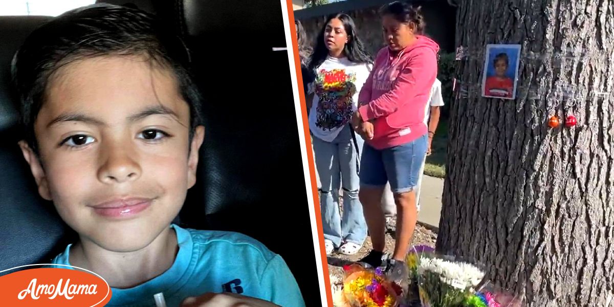 California Boy, 8, Dies after Being Hit by SUV in a Crosswalk While ...