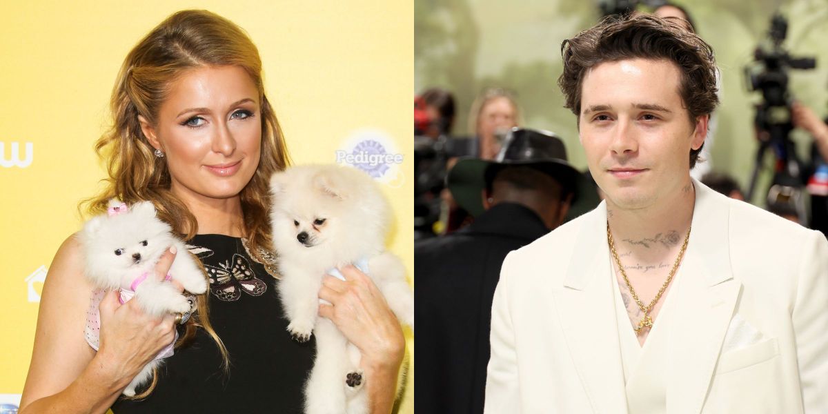 6 Celebrity Cooking Fails That Instantly Became Internet Memes – Videos