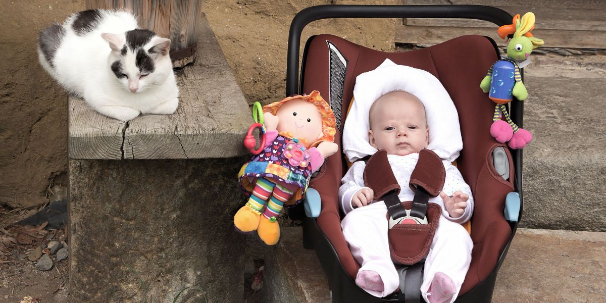 Man Returns from a Business Trip to Find an Abandoned Baby with a Note ...