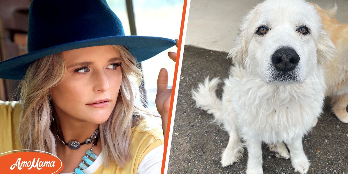 'It Hurts So Bad to Say Goodbye' Miranda Lambert Mourns Death of Her(00)