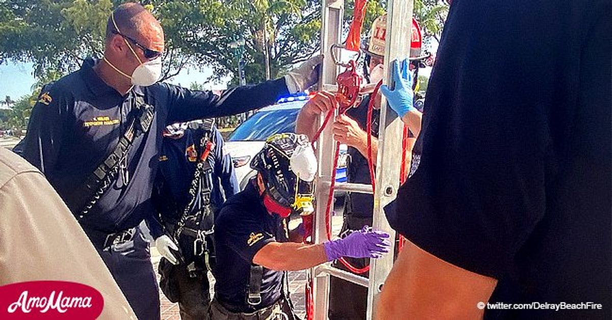 Firefighters Rescue a Woman Found in a Storm Drain after She Had Been ...