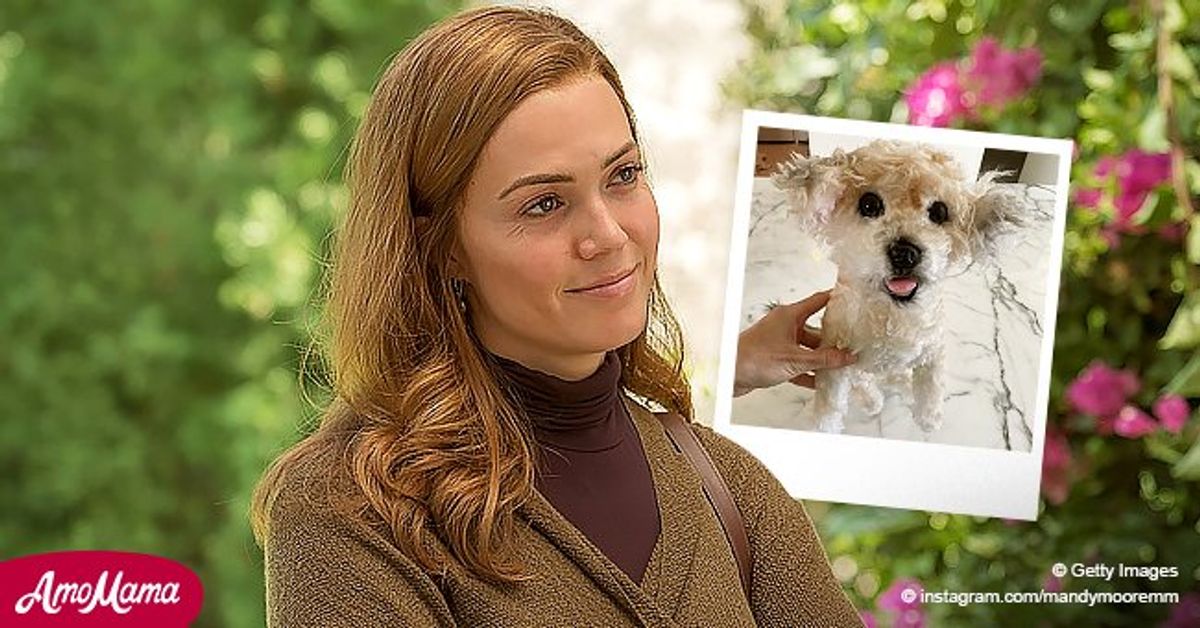 Pregnant 'This Is Us' Star Mandy Moore's Husband Gifts Her Stuffed