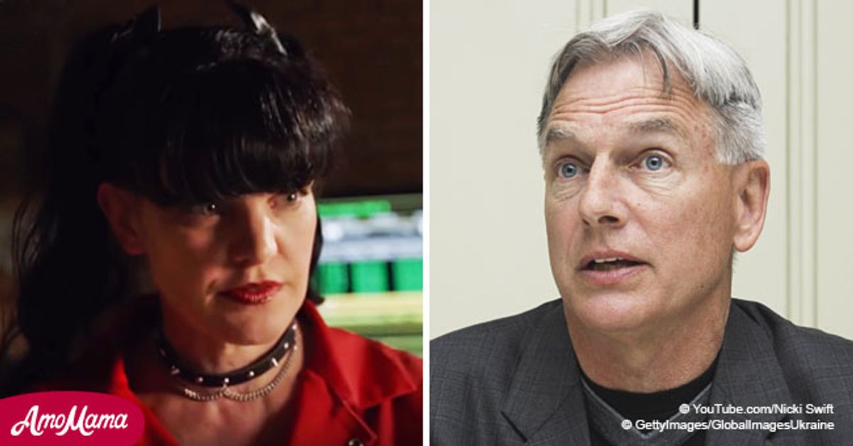 Pauley Perrette Reveals She’s 'Terrified' Of Mark Harmon And Will Never ...