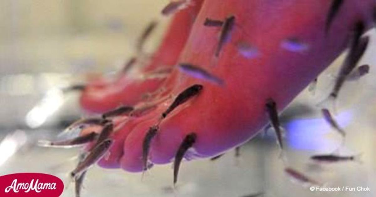 Health experts have warned! Fish foot spa pedicures could spread