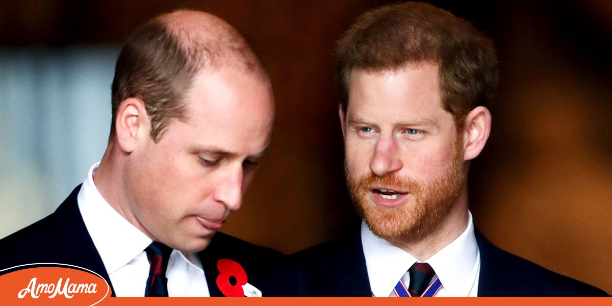 Is There Still Hope For Prince Harry & Prince William's Relationship ...