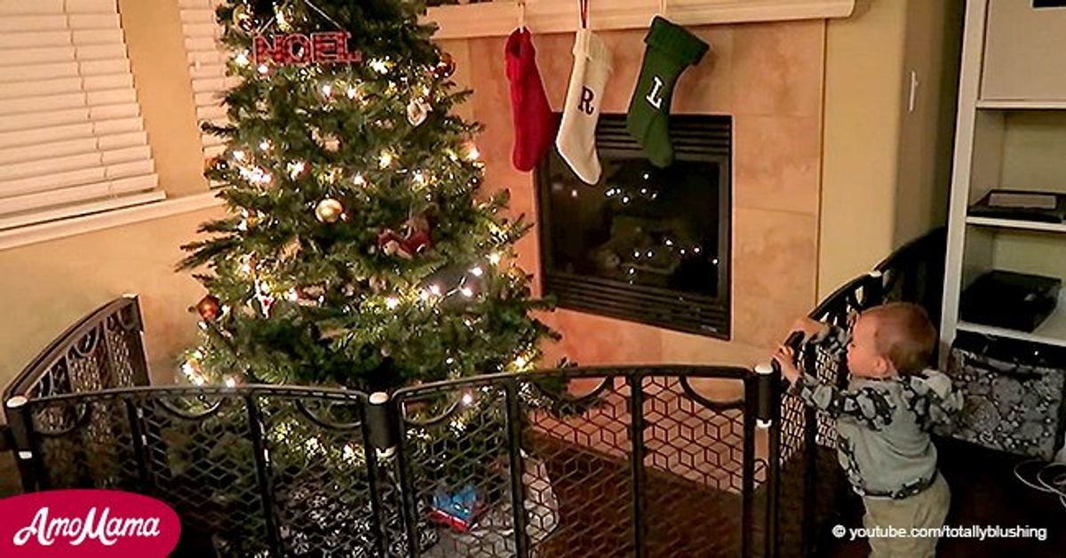 5 Hilarious Ways to Protect Your Christmas Tree from Toddlers and Pets