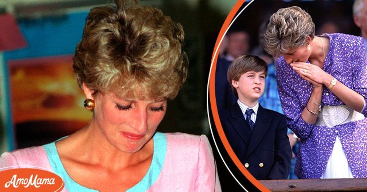William Promised Give Diana Her Royal Titles Back after She Cried over ...