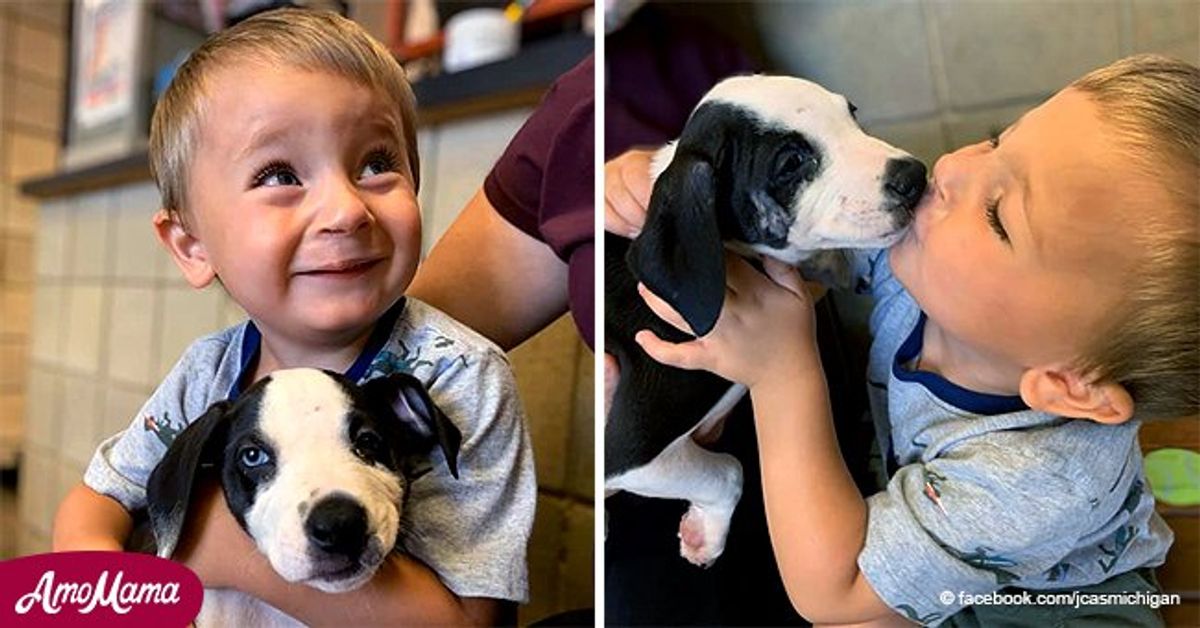 2-Year-Old Boy Adopted a Puppy with the Same Physical Defect — Details ...