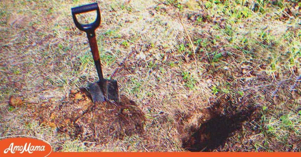 Man Digs in His MotherinLaw's Backyard and Finds a Videotape — Story of the Day