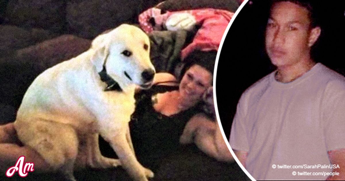 Dog Dies Protecting Family from a Gunman Who Left 3 People Injured at a