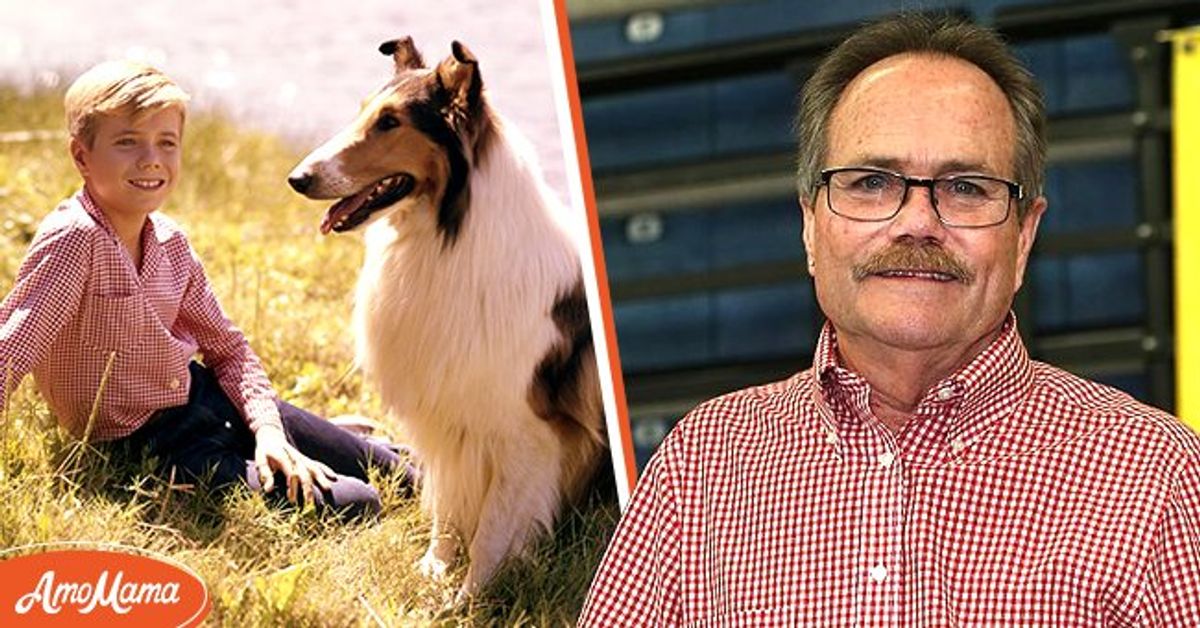 Lassie' star Jon Provost says Timmy was never trapped in a well: 'We just  don't know where that came from