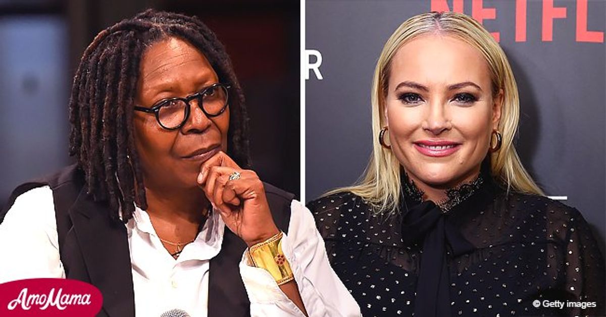 Martha stewart christmas twilight placemats