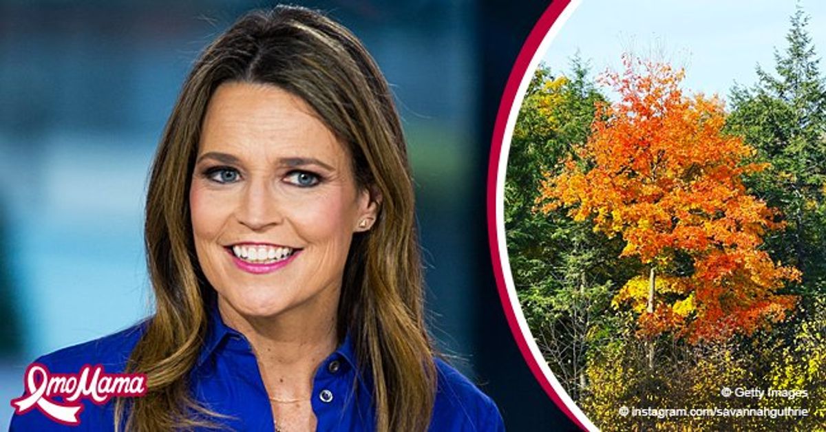 See The Beautiful Views Of Fall That 'Today' Host Savannah Guthrie ...