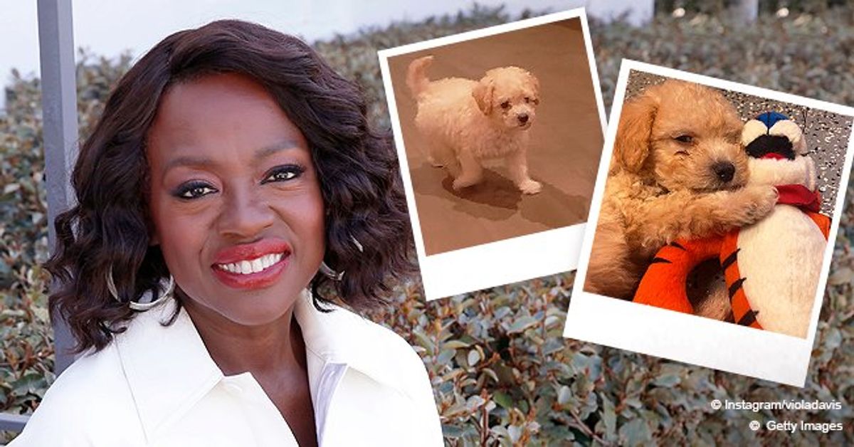 Viola Davis Introduces a New Family Member — Meet Her Cute Puppy Bailey