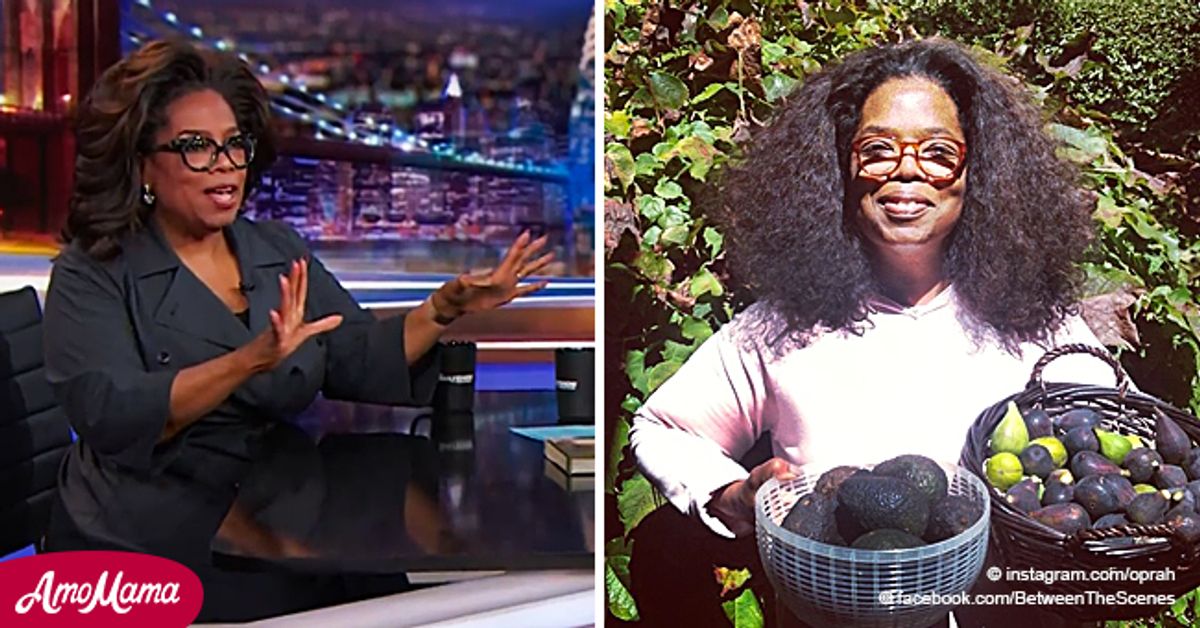 Oprah Winfrey Bought an Avocado Orchard to Counter High Produce Prices