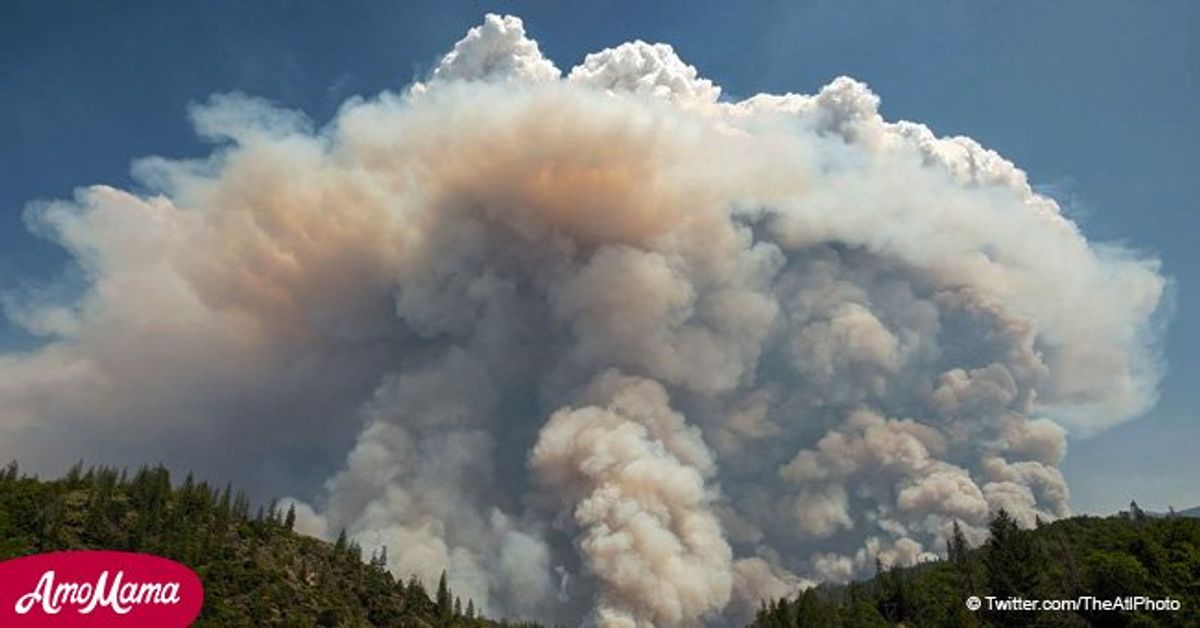 Update on devastating wildfires that have already destroyed more than ...