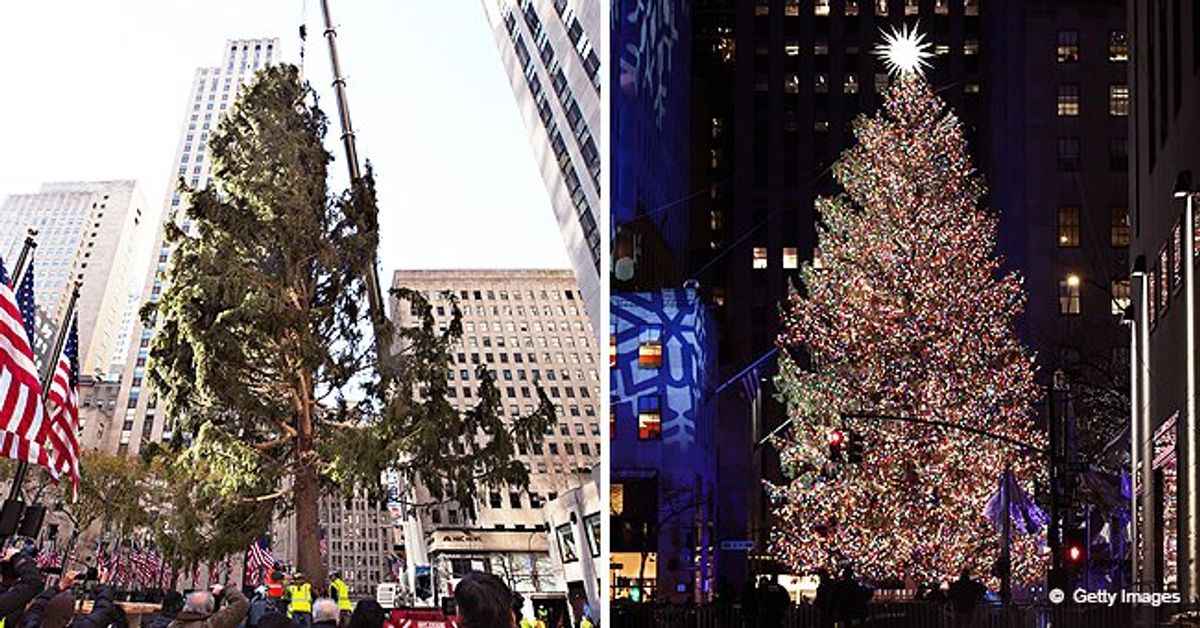 Fans React to Lit up Rockefeller Center Christmas Tree Following ...