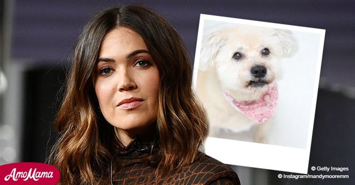 Pregnant Mandy Moore Mourns Death of Beloved Dog Joni — See Her(01)