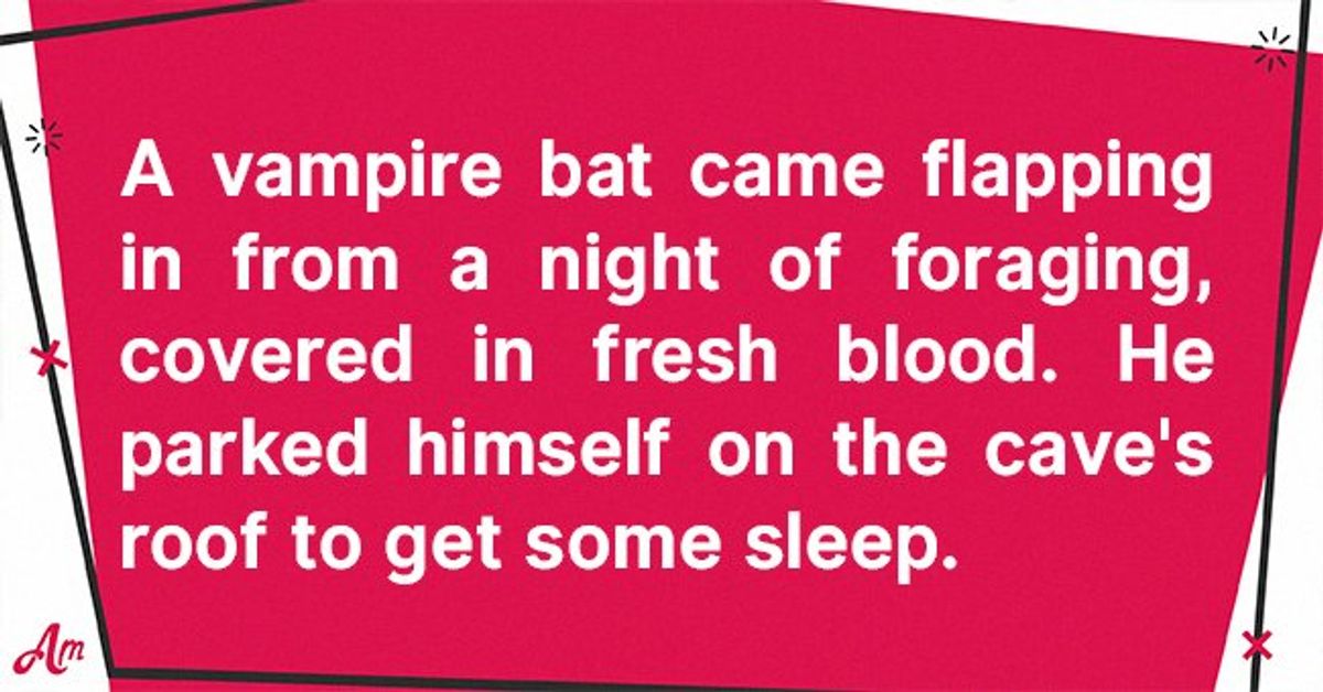 Daily Joke A Bat Flew Into a Cave