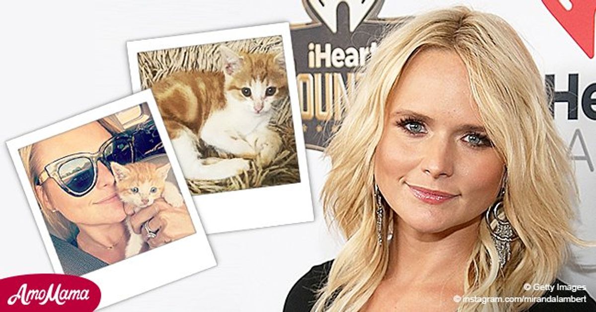 See Miranda Lambert and Husband Brendan's Adorable Kitten Which They