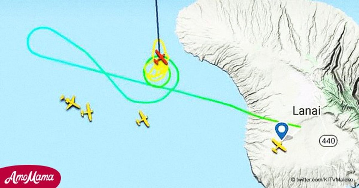 Two Pilots Rescued from Drowning after Their Plane Went down into the(02)