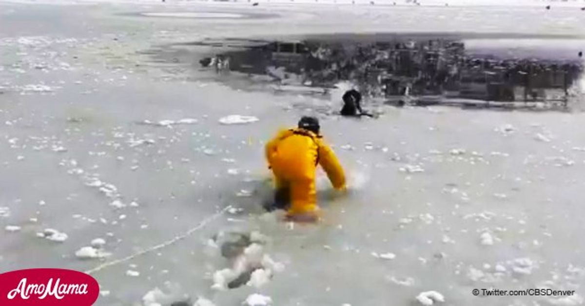 Brave firefighter plunges into an icy pond to rescue a dog that had ...