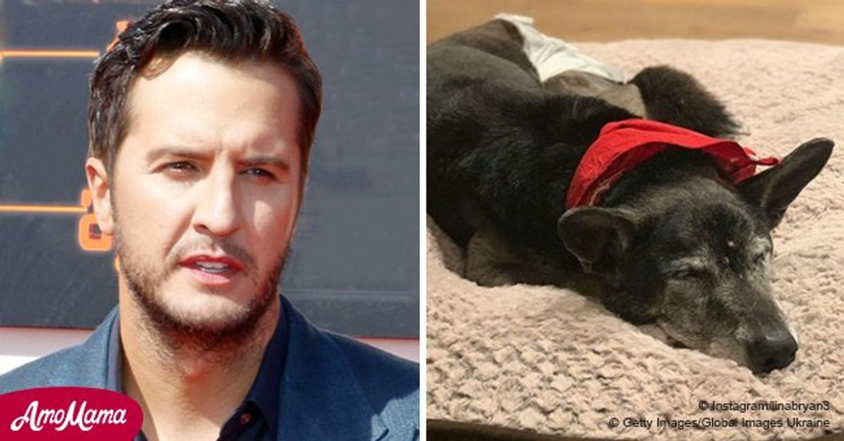 Luke Bryan’s rescue dog dies 9 days after adoption, and here’s the