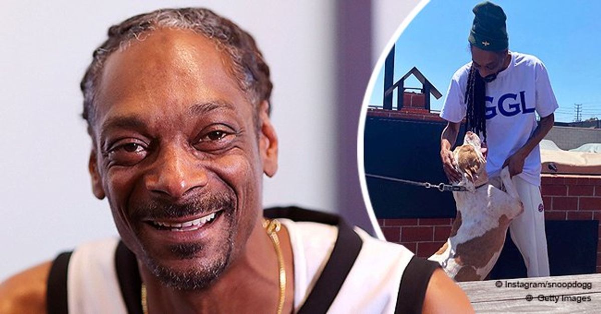 Meet Snoop Dogg's Beloved Pet Dog Lilsnoop