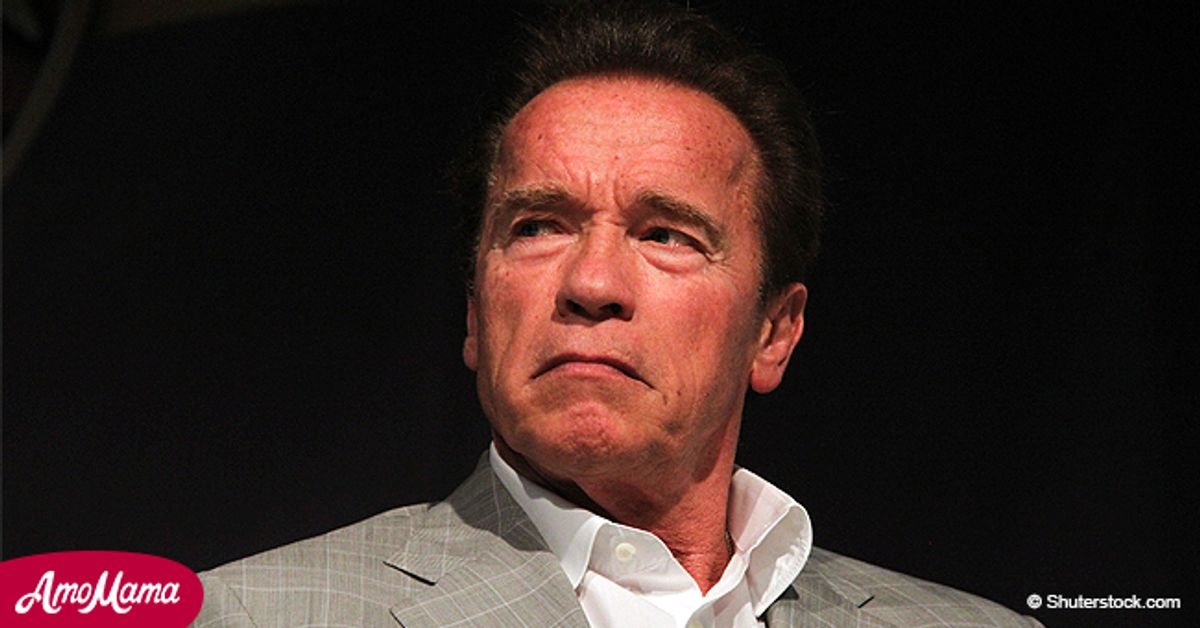 Arnold Schwarzenegger Attacked During His Visit To South Africa