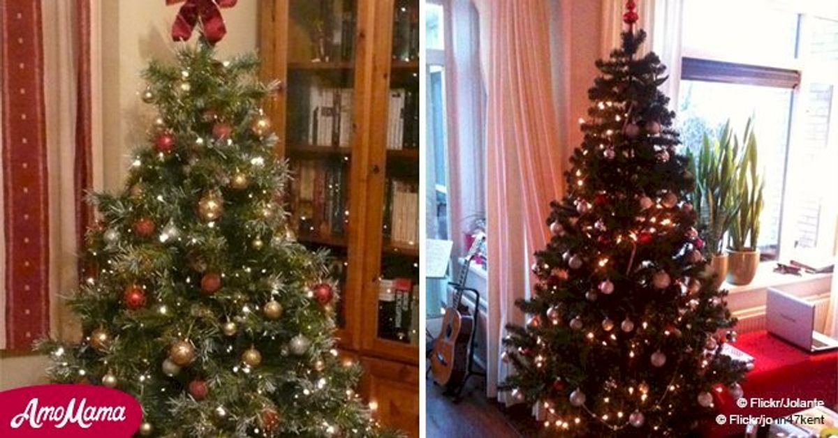 Here's why you should water your Christmas tree