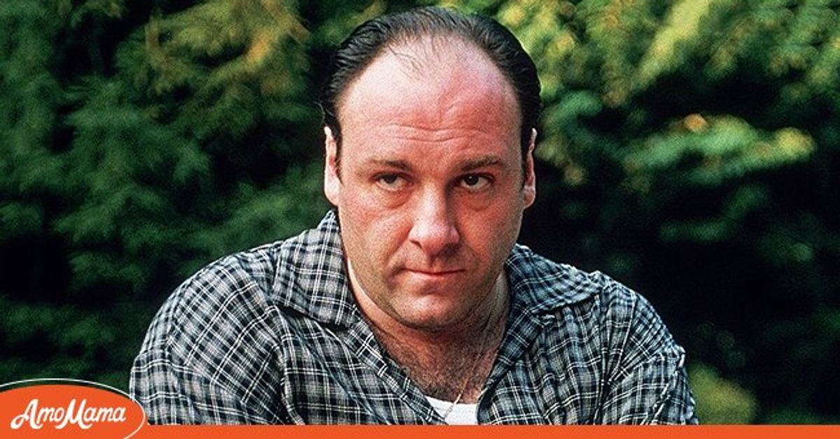 James Gandolfini Was "Happy" & "Healthy" before His Sudden Death