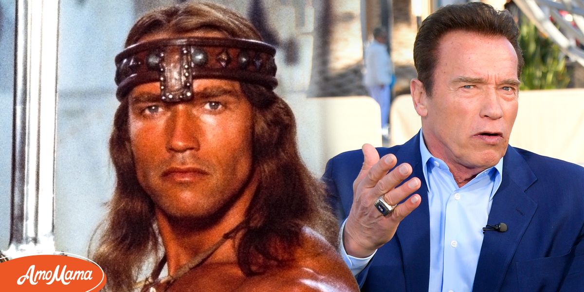 Arnold Schwarzenegger Mocked for Having ‘Too Much’ Gray on Eyebrows ...