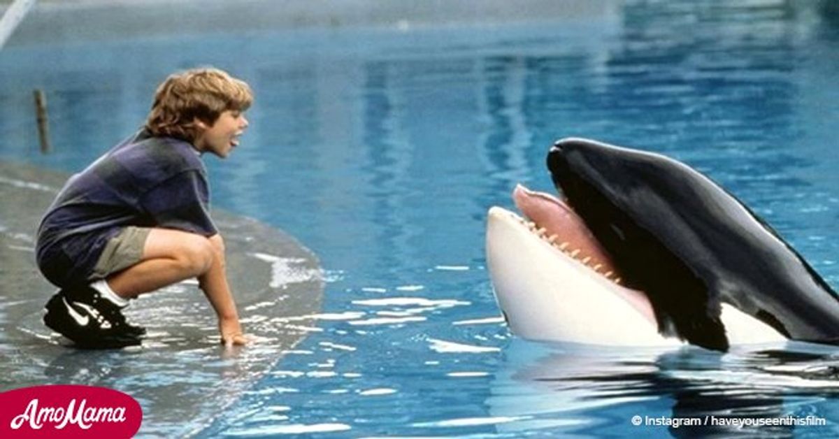 Do you remember the young boy from 'Free Willy'? Now he's a handsome ...