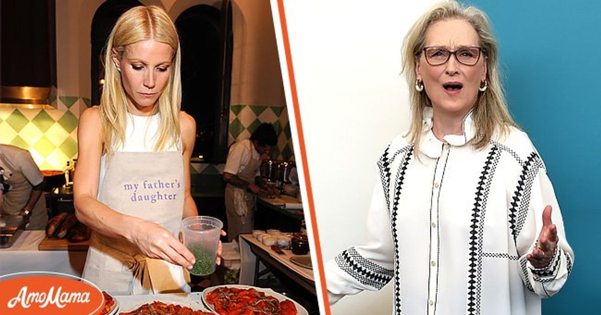 Meryl Streep Was Thrilled with Paltrow's Oven after It Rescued(00)