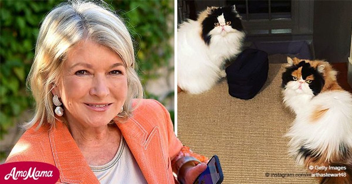 Lifestyle Icon Martha Stewart Reveals Secrets to Being the Best Cat Owner