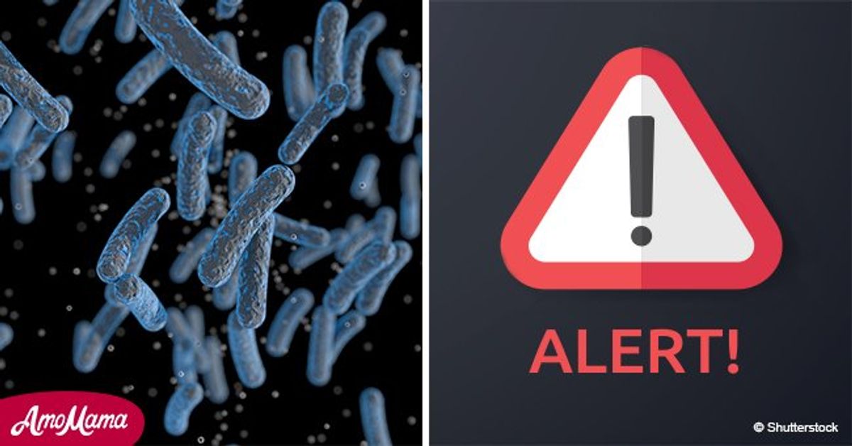 Warning CDC reports multidrugresistant salmonella outbreak in 26 states