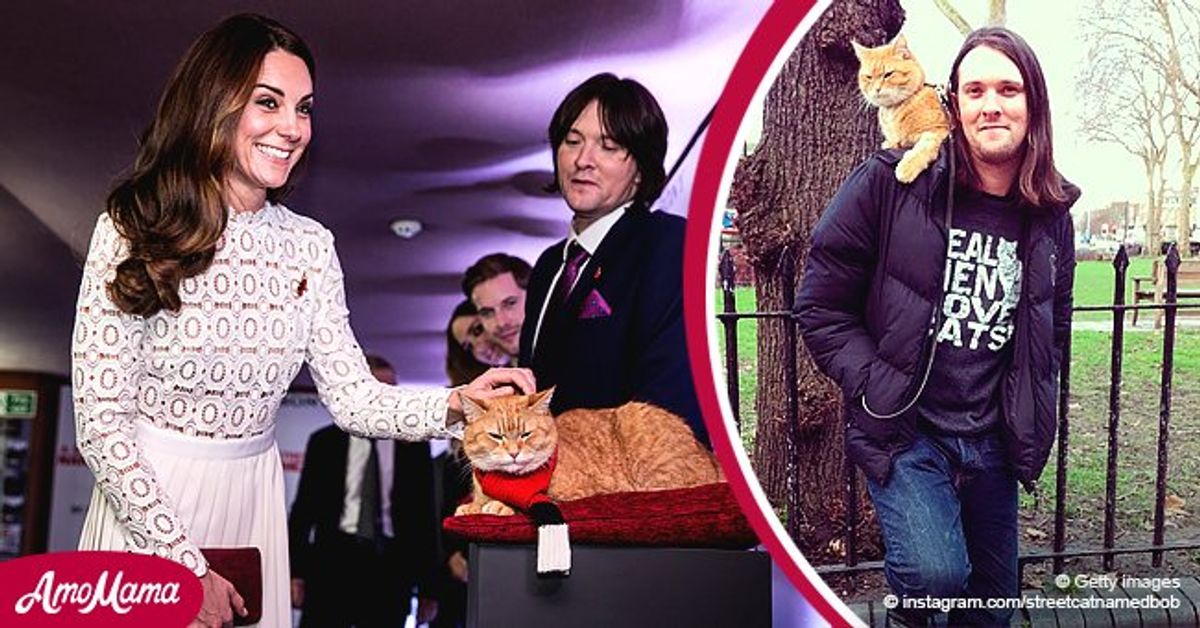 Bob the Cat, Star of 'A Street Cat Named Bob' Book and Film Series, Dies