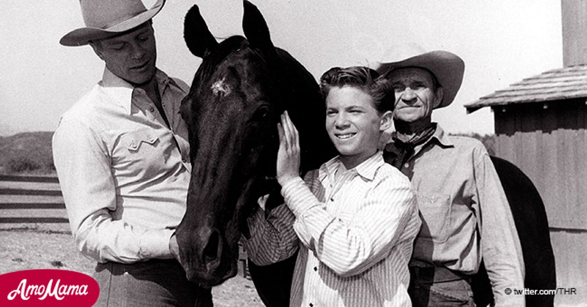 Bobby Diamond, the Boy with a Horse from ‘Fury,’ Dies at 75