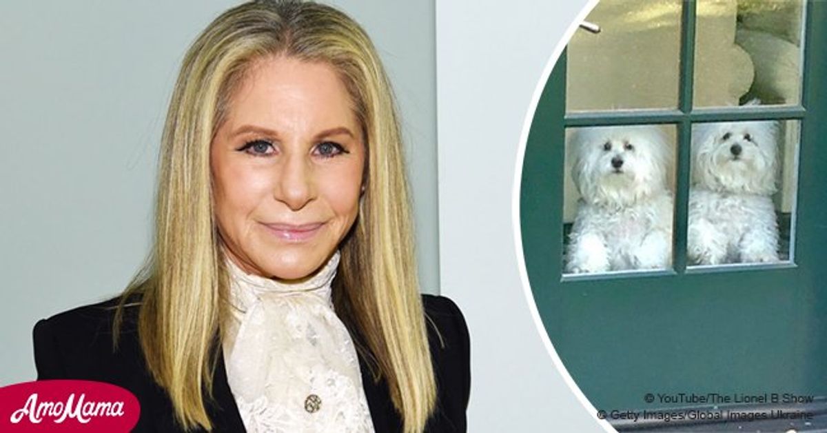 Barbra Streisand returns home with her adorable cloned dogs after