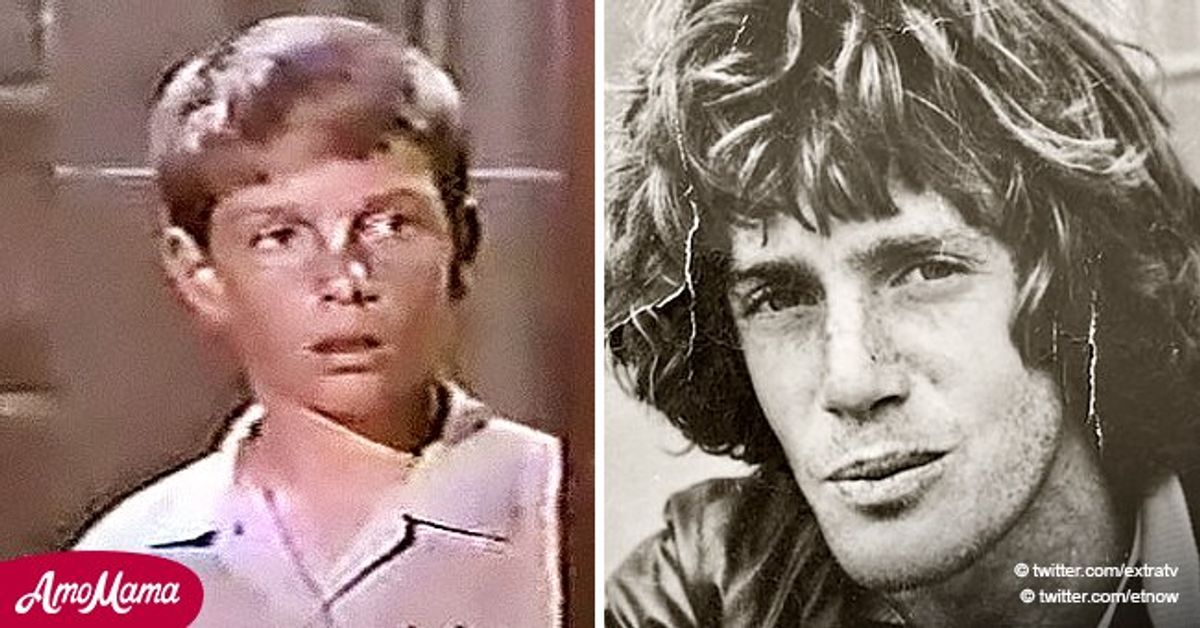 Kim Tyler, Child Star on 'Please Don't Eat the Daisies' Dies at 66