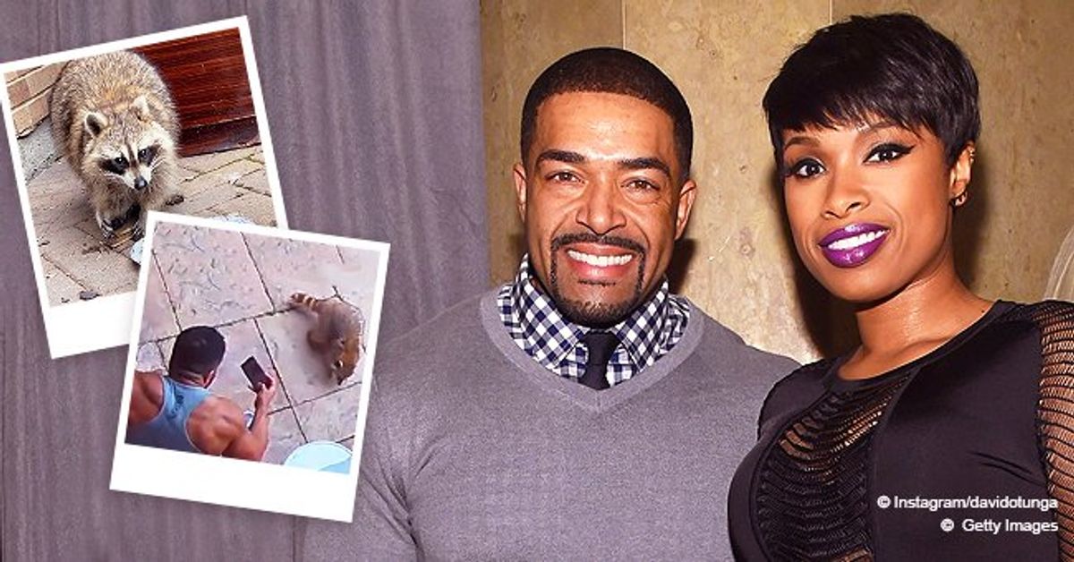Jennifer Hudson's Ex David Otunga Feeds Homeless Raccoon during Quarantine