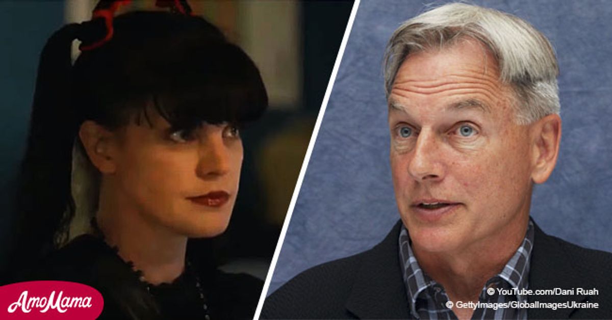 Pauley Perrette’s Accusations Against Mark Harmon Divides NCIS Fans