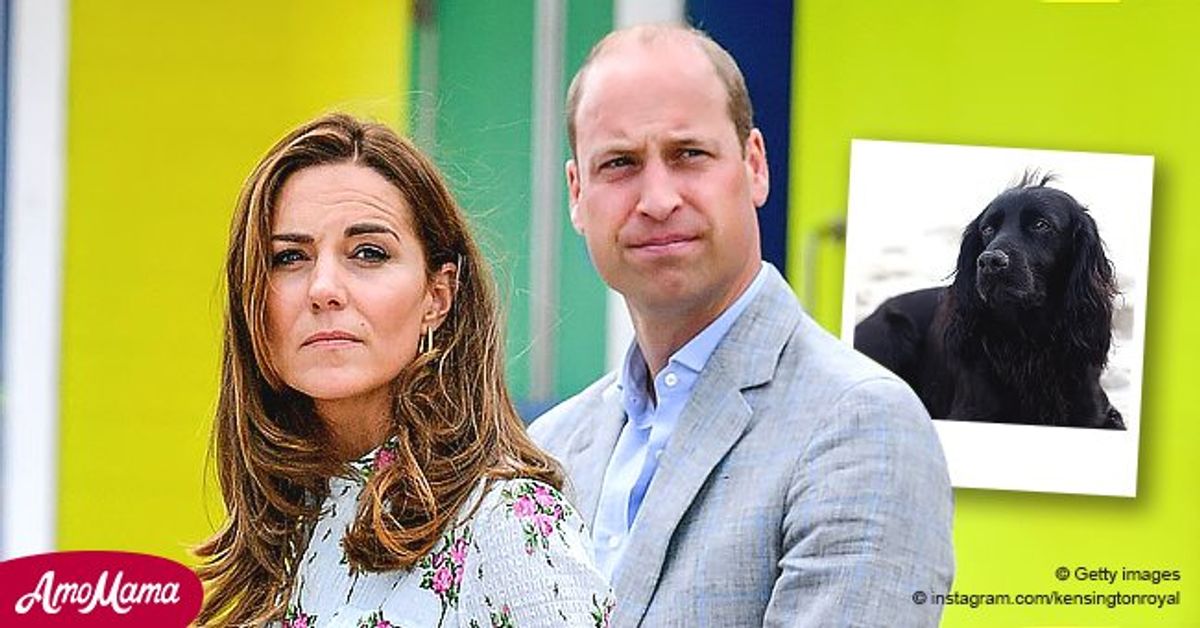 Prince William & Kate Middleton Mourn Death Of Their Dog Lupo — See ...